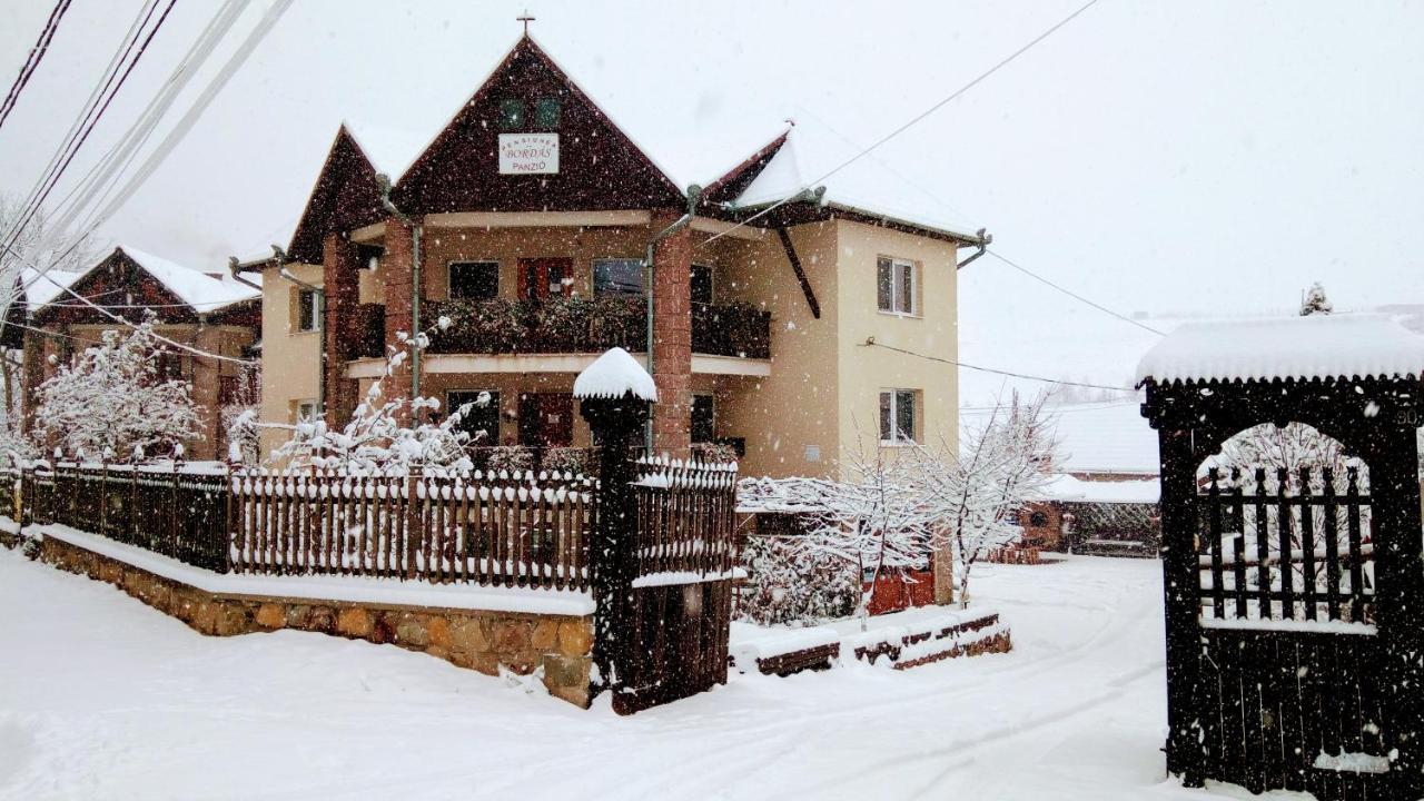 Pensiunea Bordas Panzio Sfantu Gheorghe  Exterior photo