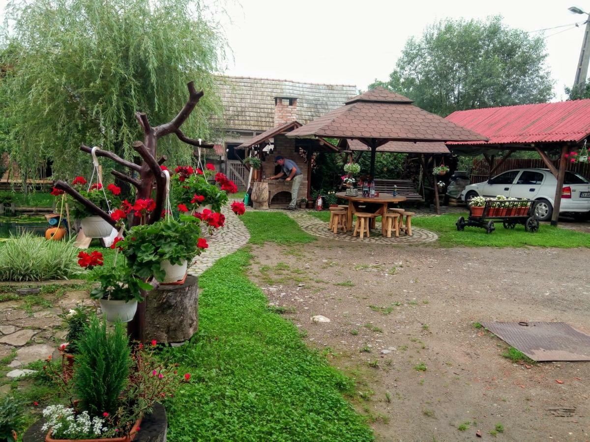 Pensiunea Bordas Panzio Sfantu Gheorghe  Exterior photo